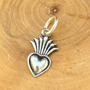 medalla hecha de plata 950 con diseño de corazon con hojas espigadas de una plantita.