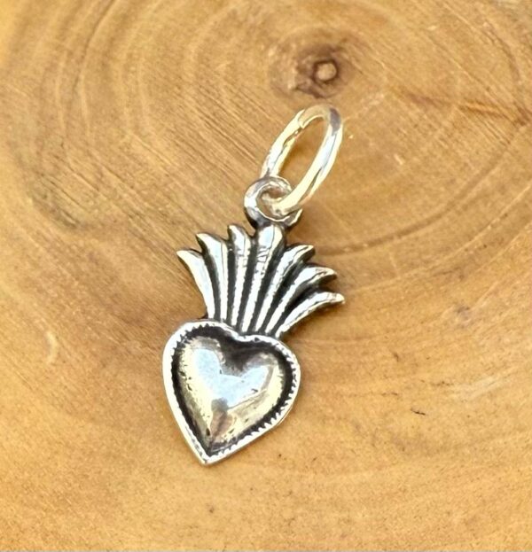 medalla hecha de plata 950 con diseño de corazon con hojas espigadas de una plantita.