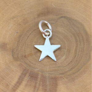 medalla hecha de plata 950 con diseño de estrella.