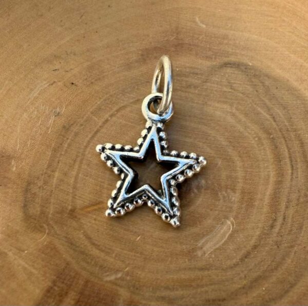 medalla hecha de plata 950 con diseño de estrella bordeada.